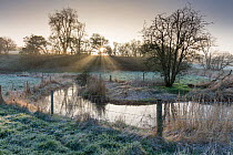 River Churn at dawn with frost, first tributary of the River Thames in the Cotswolds. April 2015.