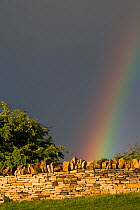 Cotswolds dry stone wall and rainbow, Broadway Tower, Worcestershire, UK. May.