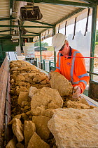Hand selection of limestone for construction and dry stone walling, Huntsmans Quarry, Naunton, Gloucestershire, UK. July 2015.