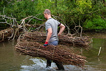 Corporate volunteer from Thames Water rebuilding river bank with hazel faggots on River Windrush at Brassey GWT Nature Reserve, Gloucestershire, UK. August 2015.