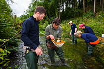 Corporate volunteers from Thames Water conducting a river bidodiversity survey on River Windrush at Brassey GWT Nature Reserve, Gloucestershire, UK. August 2015.