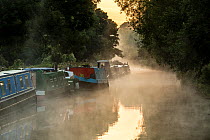 Barges in autumn mist on Kennet and Avon Canal, Bath, UK. September 2015.