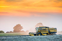 Combine harvester bringing in  wheat harvest, Hawkesbury Upton, Gloucestershire, UK. September 2015.