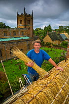 Dan Quatermain, master thatcher, working on a thatched roof in Wroxton village, Oxfordshire, UK. September 2015.