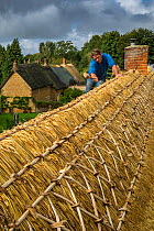 Dan Quatermain, master thatcher working on ridge of thatched roof in Wroxton, Oxfordshire, UK. September 2015.
