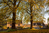 Autumn view of village of Little Barrington, Gloucestershire, UK. October 2015.