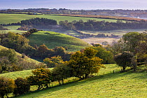 Autumn view towards St.Catherines Valley from Cold Ashton, Gloucestershire. St. Catherine's Valley is a biological Site of Special Scientific Interest. October 2015.