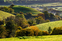 Autumn view towards St. Catherines Valley from Cold Ashton, Gloucestershire. St. Catherine's Valley is a biological Site of Special Scientific Interest. October 2015.