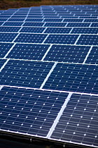 Photovoltaic panel array on a solar farm, UK. 2012