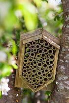 Garden insect box positioned  in  apple tree, Stroud, Gloucestershire, UK. May.