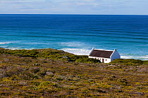 House above sea, fynbos habitat,   De Hoop Nature Reserve, Western Cape, Overberg, South Africa. June 2013.