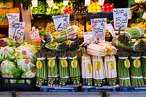 Green and white Asparagus for sale in Rialto Market, Venice, Italy, April.