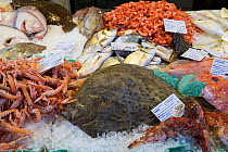 Fresh Turbot and other fish for sale at Rialto Market Venice, Italy, April.