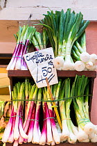 Fresh red and white spring onions in Rialto Market, Venice, Italy, April