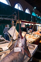 Fresh Swordfish in Rialto Market Venice, Italy, April