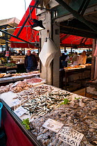 Fresh Sqiud and Sardines in Rialto Market Venice, Italy, April.