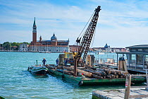 Maintenance barge with crane and replacement mooring posts, Venice, Italy.