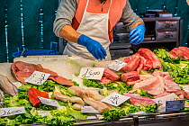 Fresh seafood for sale at Rialto market, Venice, Italy, April