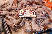 Fresh squid in Rialto market, Venice, Italy, April.
