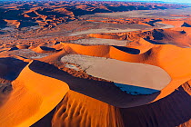 Aerial view of Deadvlei with sand dune habitat, Namib-Naukluft National Park, Namibia
