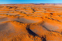 Aerial view of Namib-Naukluft National Park with sand dune habitat, Namibia