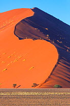 Massive sand dunes of Namib Naukluft National Park, Namibia
