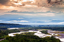 Secondary rainforest in Sangay National Park, near Puyo, Ecuador. November 2013.