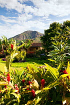 Garden and guesthouse in Vilcabamba, Ecuador. November 2013.