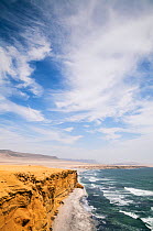 Paracas Beach, Paracas National Reserve, Ica Region, Peru. November 2013.