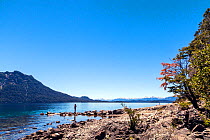 Circuito Chico in Bariloche, Lake District, Argentina, Patagonia. January 2014.