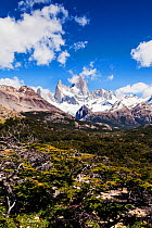 Mount Fitzroy (Fitz Roy), near El Chalten, Argentina. Patagonia. January 2014.