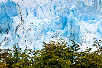 Perito Moreno Glacier, Patagonia, Southern Argentina. January 2014.