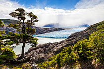 Glacier Grey, W Trek. Torres del Paine National Park, Patagonia, Chile. January 2014.