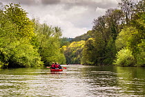 People canoeing on River Wye, UK. April 2015.
