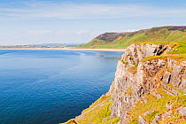 Climber on sea cliffs at Rhossili, Gower Area Of Natural Beauty (AONB), Wales. June 2013.