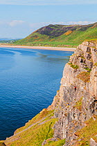Climber on coastal cliffs at Rhossili, Gower Area Of Natural Beauty (AONB), Wales. June 2013.