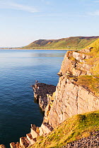 Man stanind in distance on cliff rock edge at Rhossili, Gower Area Of Natural Beauty (AONB), Wales. June 2013.