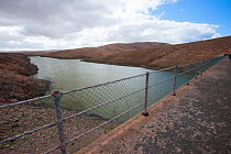 Los Molinos reservoir, one of the most important inland birding sites on Fuerteventura, Canary Islands, Spain, December.