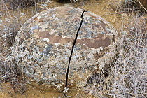 Rounded boulder with crack, Erebuni State Reserve near Yerevan, Armenia