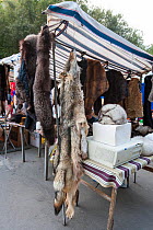 Wolf and other animal fur skins for sale at the 'Vernissage'  weekend market in Yerevan city, Armenia