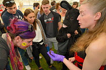 Samantha Pickering showing a Common pipistrelle bat (Pipistrellus pipistrellus) to members of the public at an outreach event, Boscastle, Cornwall, UK, October.