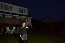 Samantha Pickering preparing to release a Common pipistelle bat (Pipistrellus pipistrellus) in her garden after it was rescued locally and fully reabilitatated at her bat sanctuary, North Devon Bat Ca...