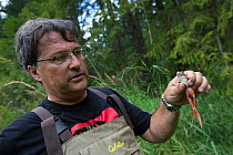 Oregon spotted frog (Rana pretiosa) biologist Mark Hayes checking on released frogs that were raised by inmates as part of Sustainability in Prison program, Washington, USA. September 2012.