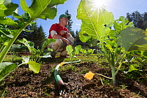 Organic garden tended to by inmate as part of Sustainability in Prison program, Cedar Creek Corrections Center, Washington, USA.  September 2012.