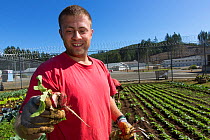 Organic garden tended to by inmate as part of Sustainability in Prison program, Cedar Creek Corrections Center, Washington, USA.  September 2012.