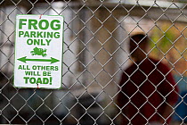 Humorous sign in Cedar Creek Corrections Center 'Frog parking only - all others will be toad'. Prisoners in this facility are raising endangered  Oregon spotted frog (Rana pretiosa) for release in the...