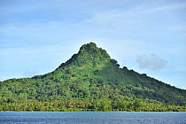 Dublon Island also named Tonowas, Chuuk or Truk Lagoon, Carolines Islands, Pacific Ocean