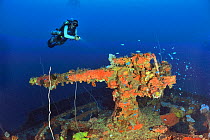 A diver above the cannon gun at the bow of the the wreck of the San Francisco Maru, a passenger cargo used as a auxiliary transport vessel, Chuuk or Truk Lagoon, Carolines Islands, Pacific Ocean