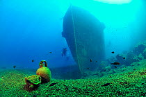 Divers on Palea Kameni wreck located in Santorini caldera with pieces of probably recent pottery laying on the bottom at the front of the ship, Santorini Island, Greece, Aegean Sea