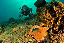 A diver in front of antique pieces of pottery in Pyrgaki Bay where a boat of ancient Greece went down, Paros Island, Greece, Aegean Sea